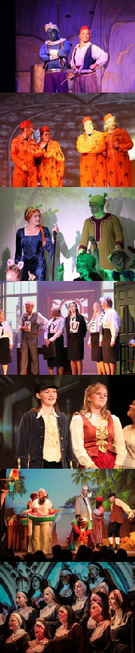  Various BGP Shows